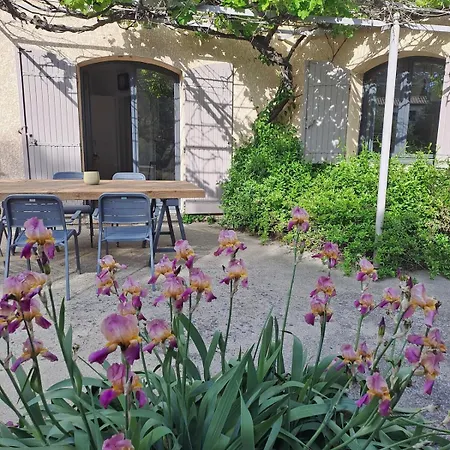 Vue Imprenable Sur Les Oliviers! * Langlade